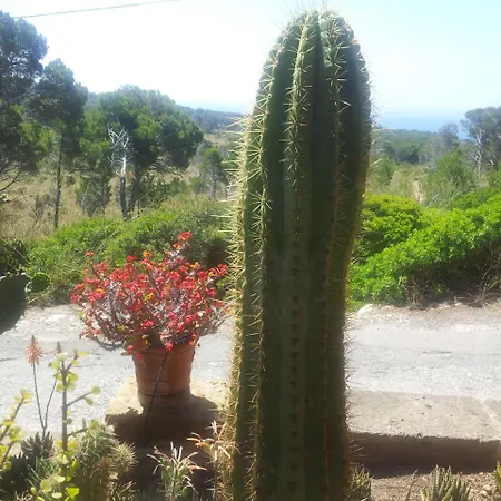 Finca Cactus Mhm